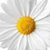 joy_burcham